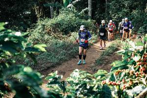 BIB: 
                            <button type="button" onclick="openModal(25853175)" class="btn btn-primary btn-sm float-right btn-popup" data-toggle="modal" data-target=".modal-high-quality">
                        <i class="fas fa-shopping-cart"></i> Add to Cart
                    </button>
                                            <button type="button" onclick="isThisMe(25853175, true)" class="btn btn-success btn-sm float-right btn-popup btn-isme hidden" data-toggle="tooltip" data-placement="bottom" title="นี่คือรูปของคุณใช่ไหม คลิกที่นี่เพื่อเอาเข้าอัลบั้ม">
                        <i class="fas fa-plus"></i> Add to album
                    </button>
                    <button type="button" onclick="isThisMe(25853175, false)" class="btn btn-warning btn-sm float-right btn-popup btn-isnotme hidden">
                        <i class="fas fa-ban"></i> Remove from album
                    </button>